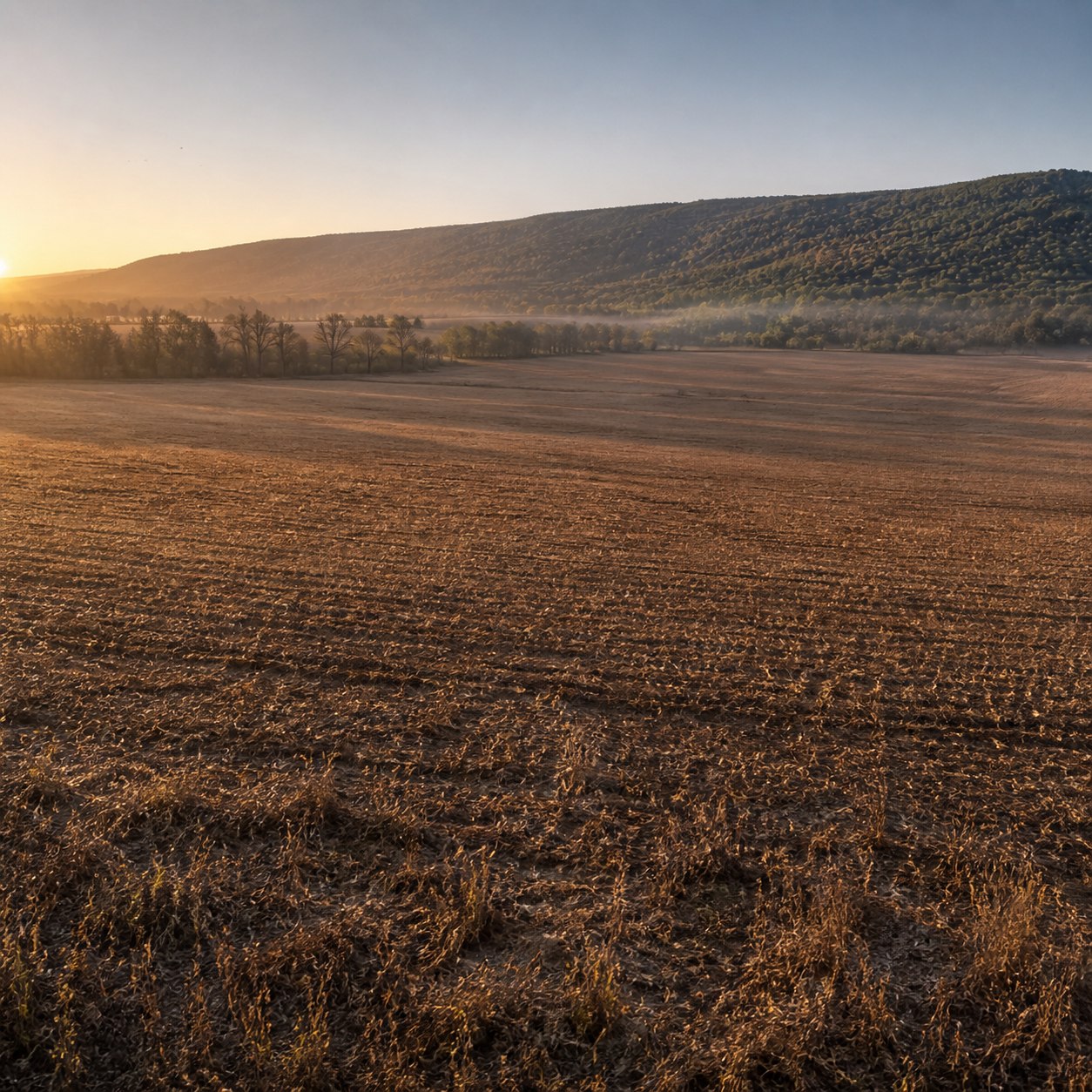 Vast unused Appalachian farmland with an existing forest edge and wooded ridge, before any structures or project activity.